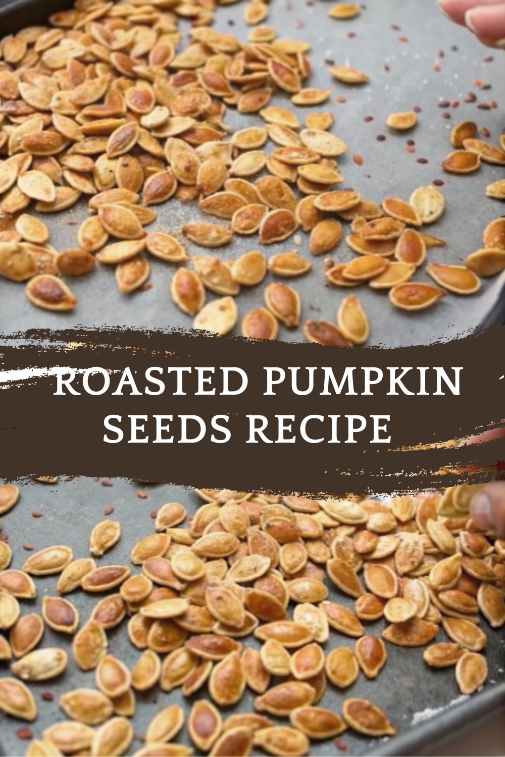 Roasted Pumpkin Seeds Recipe – Crunchy, Spicy & Addictive